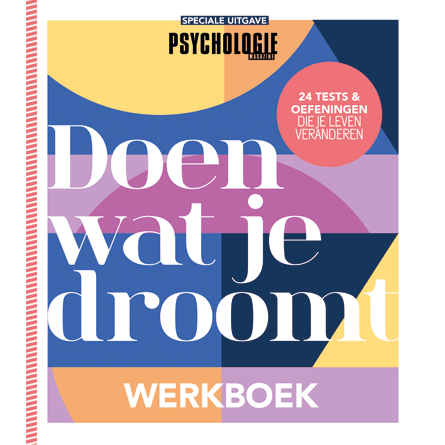 werkboek: Doen wat je droomt